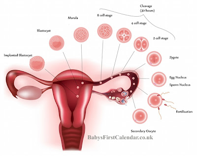 Excited too Bloody discharge after sexual intercourse sorry Think, Bloody discharge after sexual intercourse
